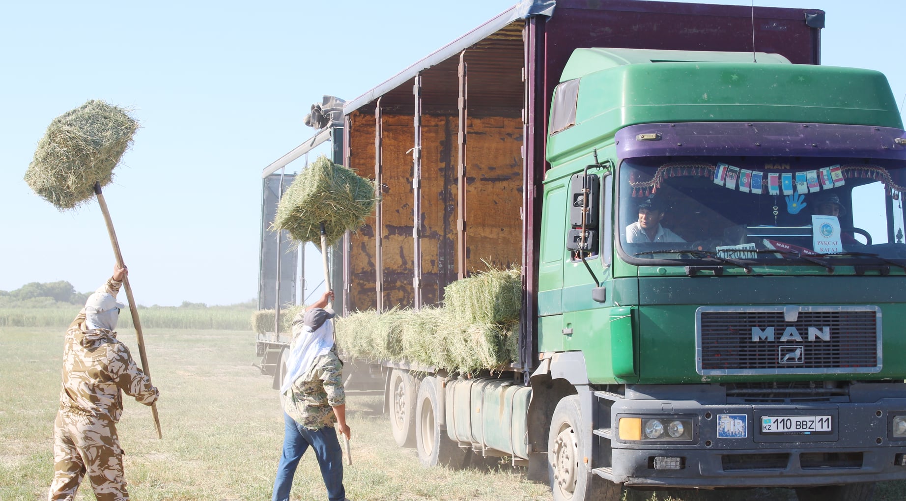 Арал ауданына көмек ретінде мал азығы жоңышқа жіберілді