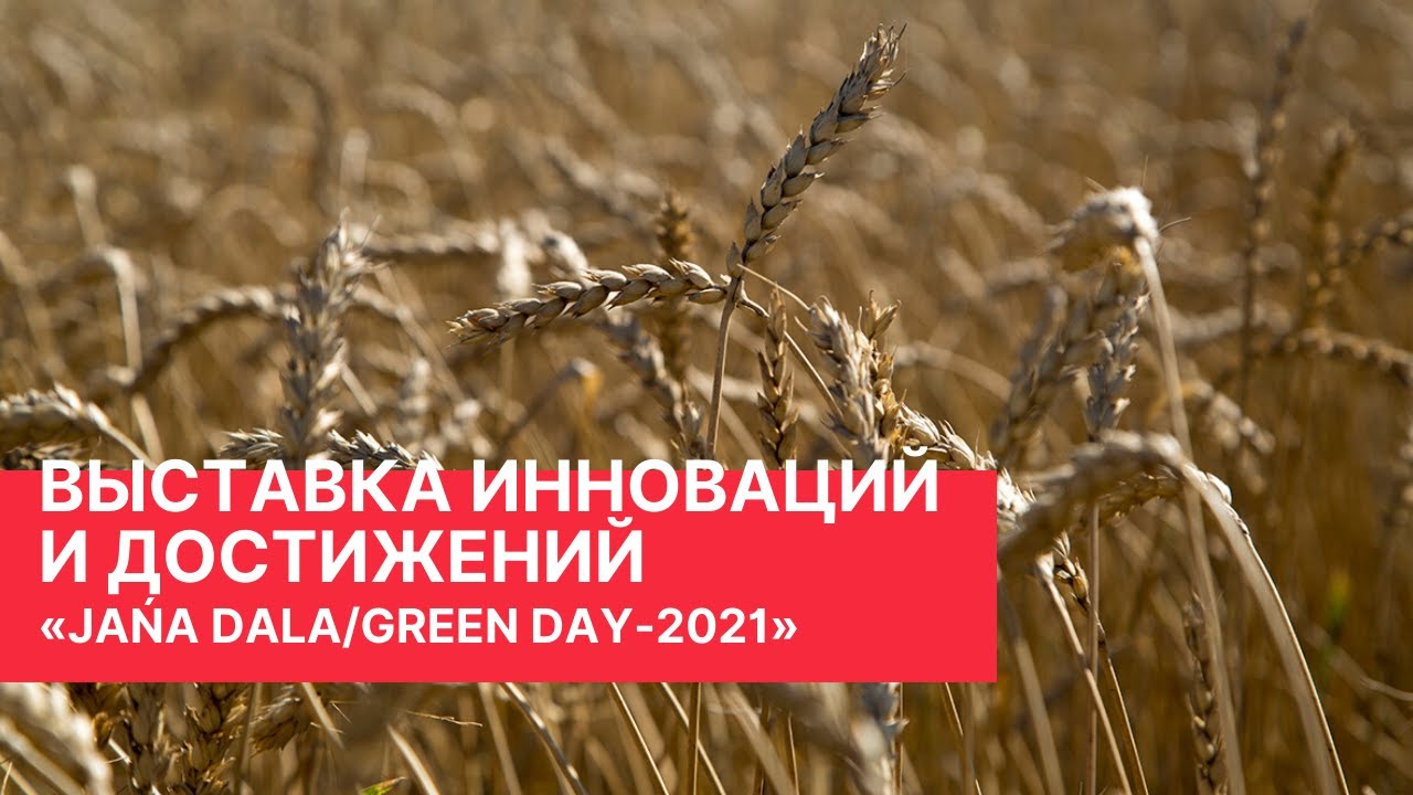Ко Дню поля в Казахстане прошла выездная выставка «JanaDala/GreenDay 2021»