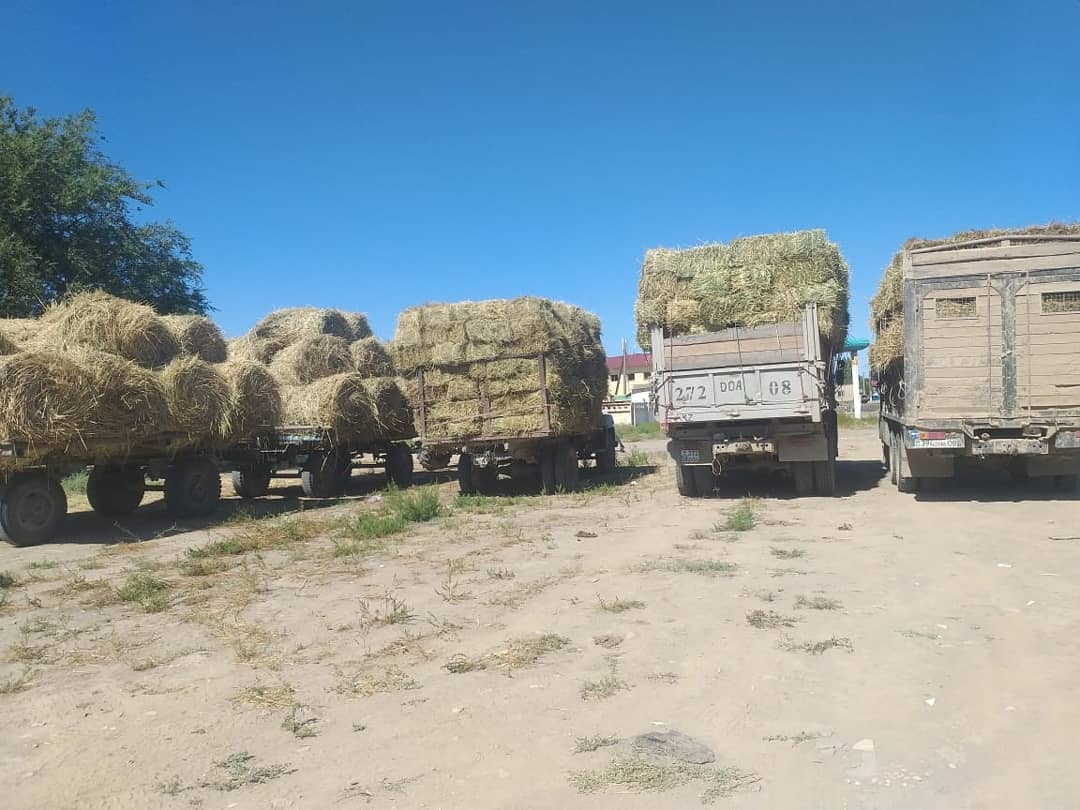 Мойынқұм ауылында аудан әкімдігінің ұйымдастыруымен мал азығын дайындау мақсатында шөп жәрмеңкесі өтті.