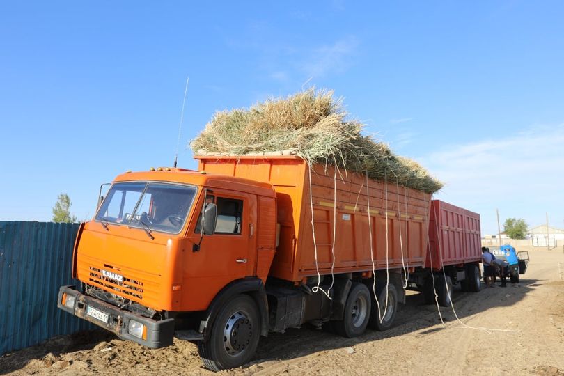Ауданға 3327 тонна шөп жеткізілді