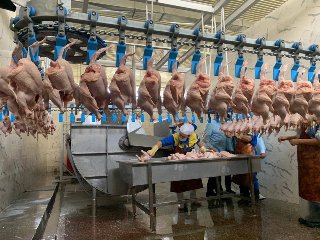 Маңғыстаудағы құс фабрикасы «HALAL» сертификатына ие болды