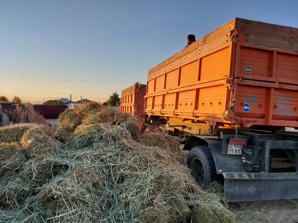 Аймақ орманшыларының көмегі ауданға жетті