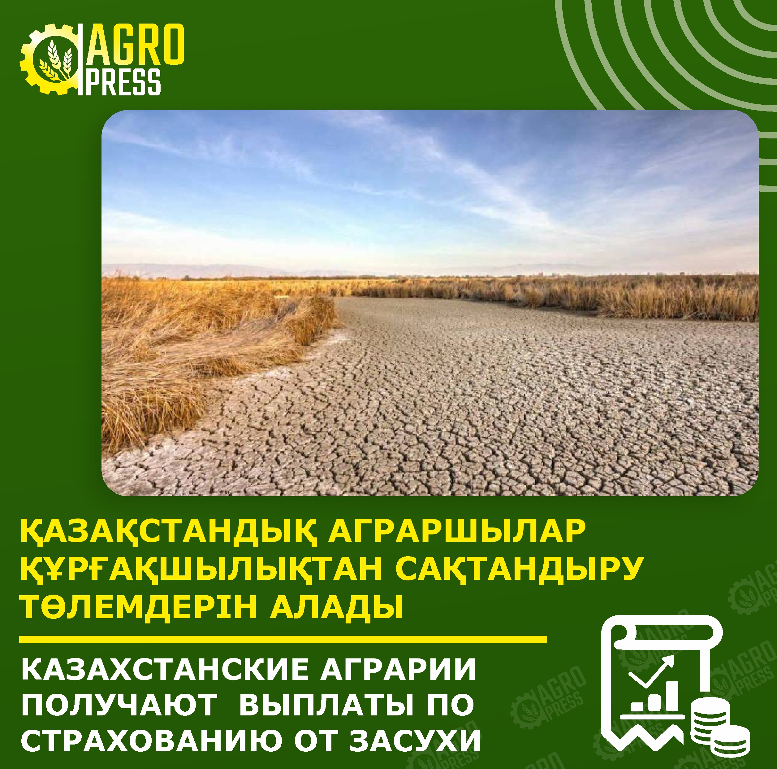 Қазақстандық аграршылар құрғақшылықтан сақтандыру төлемдерін алады