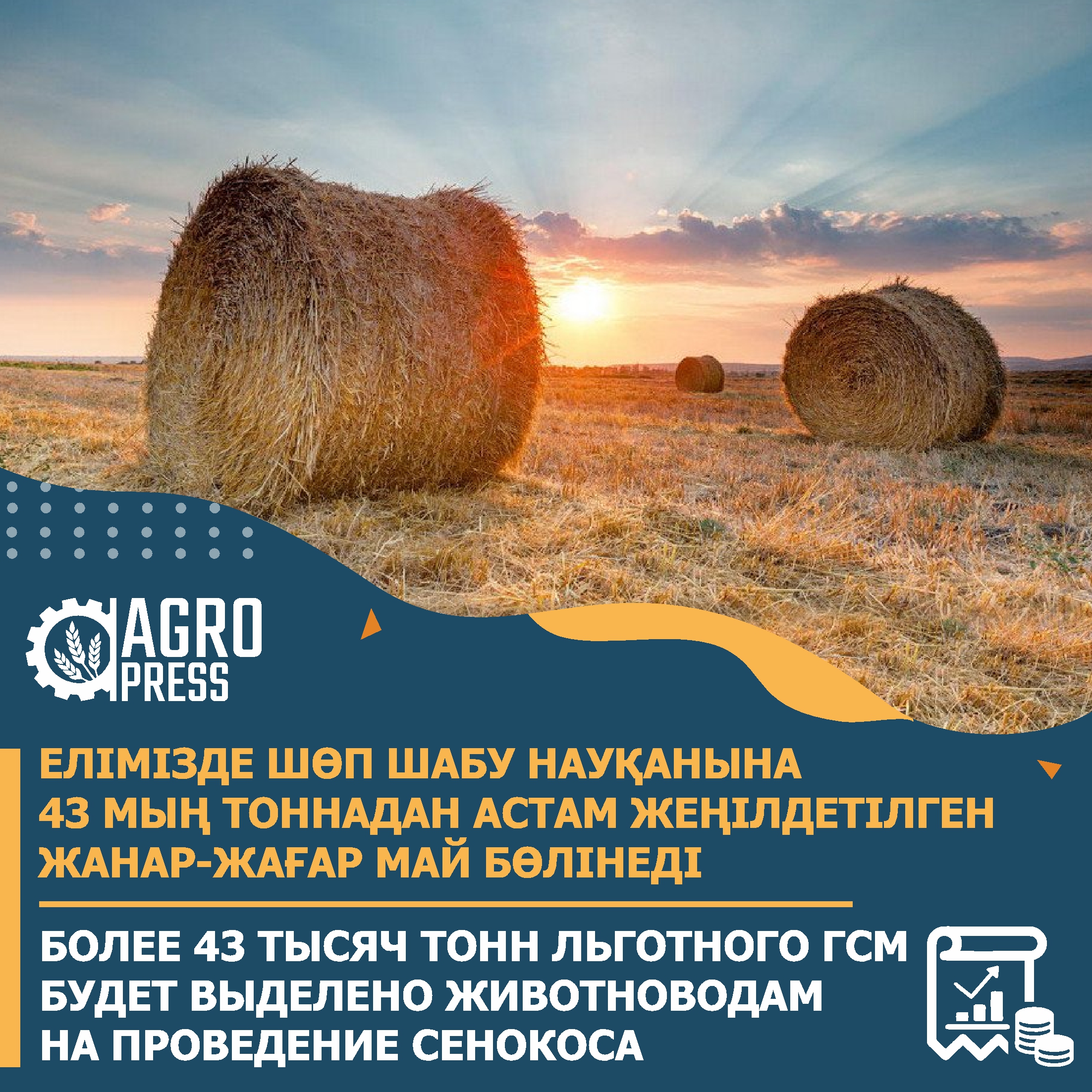 Более 43 тысяч тонн льготного ГСМ будет выделено животноводам на проведение сенокоса