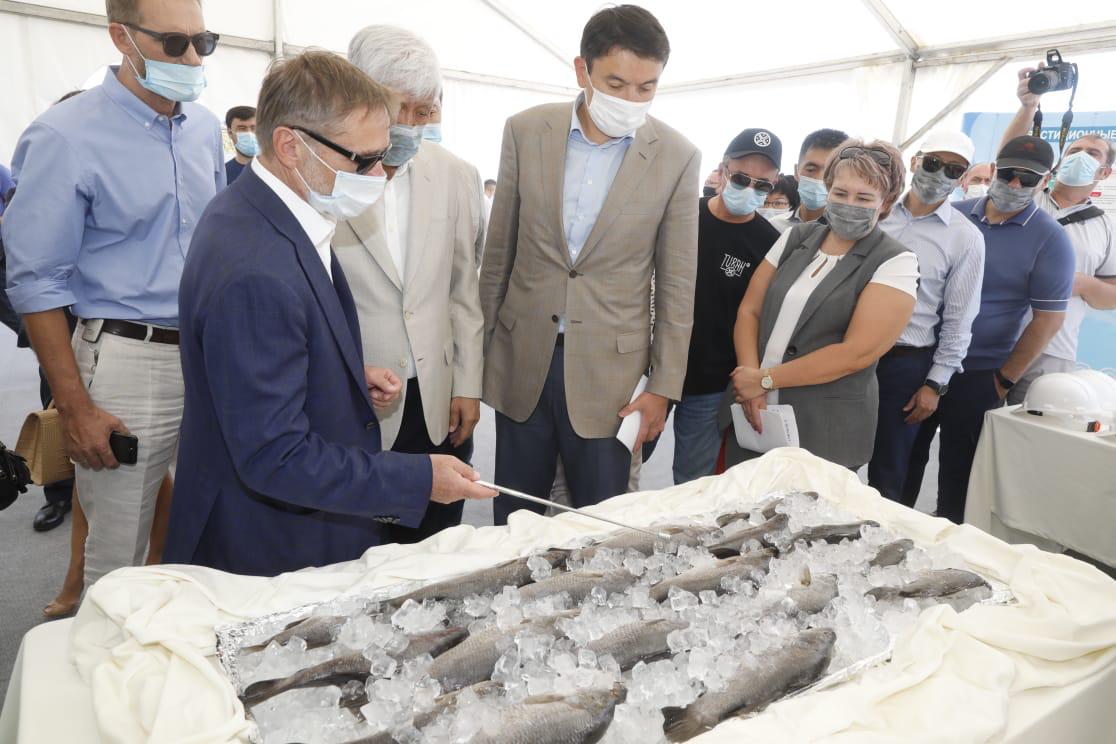 В Алматинской области прошла церемония закладки фундамента инновационного рыбопромышленного комплекса