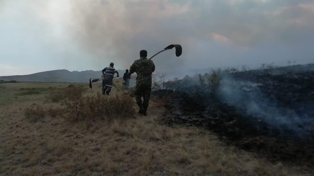 Информация о природных пожарах в Карагандинской области по состоянию на 05.07.2021