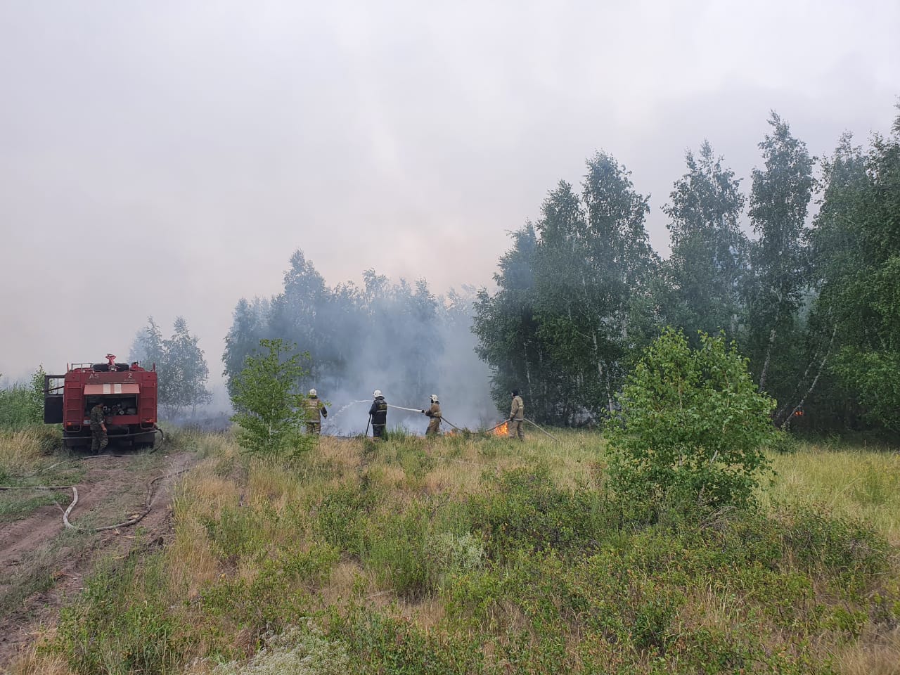 A forest fire is being extinguished in Kostanay district