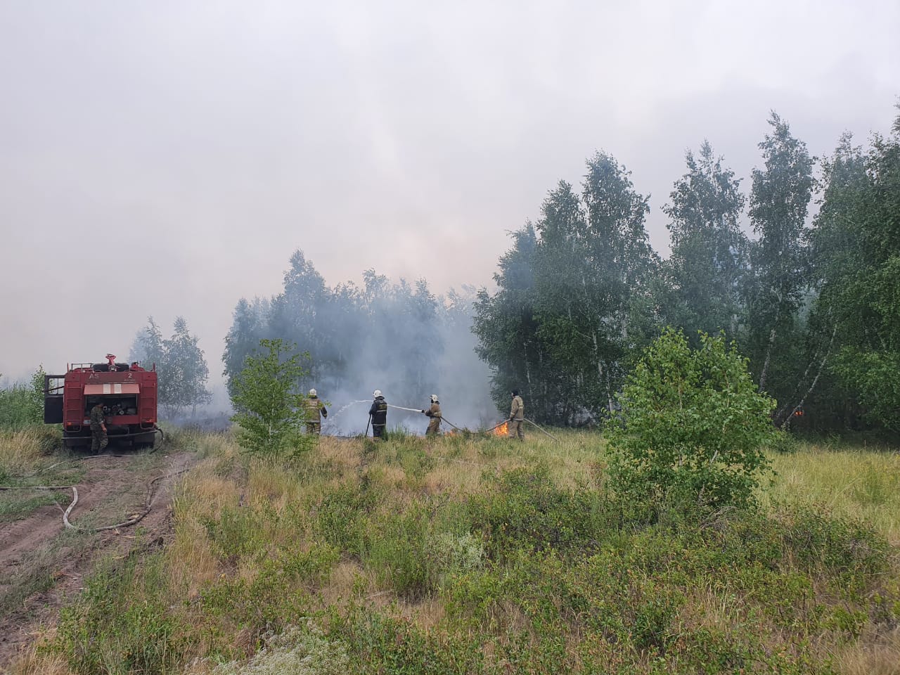 Өрт сөндірушілер Қостанай ауданындағы орман өртімен күресуде