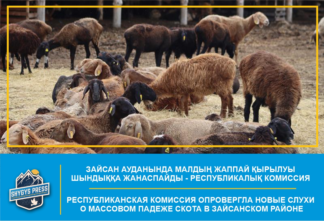 Республиканская комиссия опровергла новые слухи о массовом падеже скота в Зайсанском районе