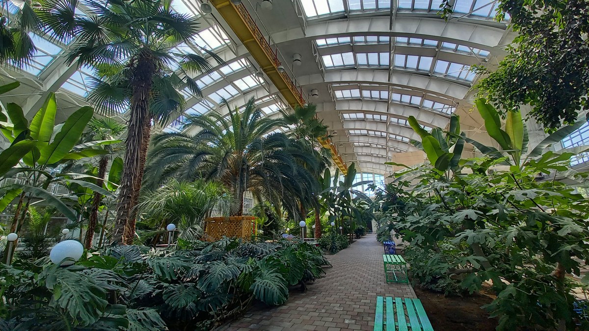 В темиртауском Зимнем саду зреет новый урожай экзотических плодов