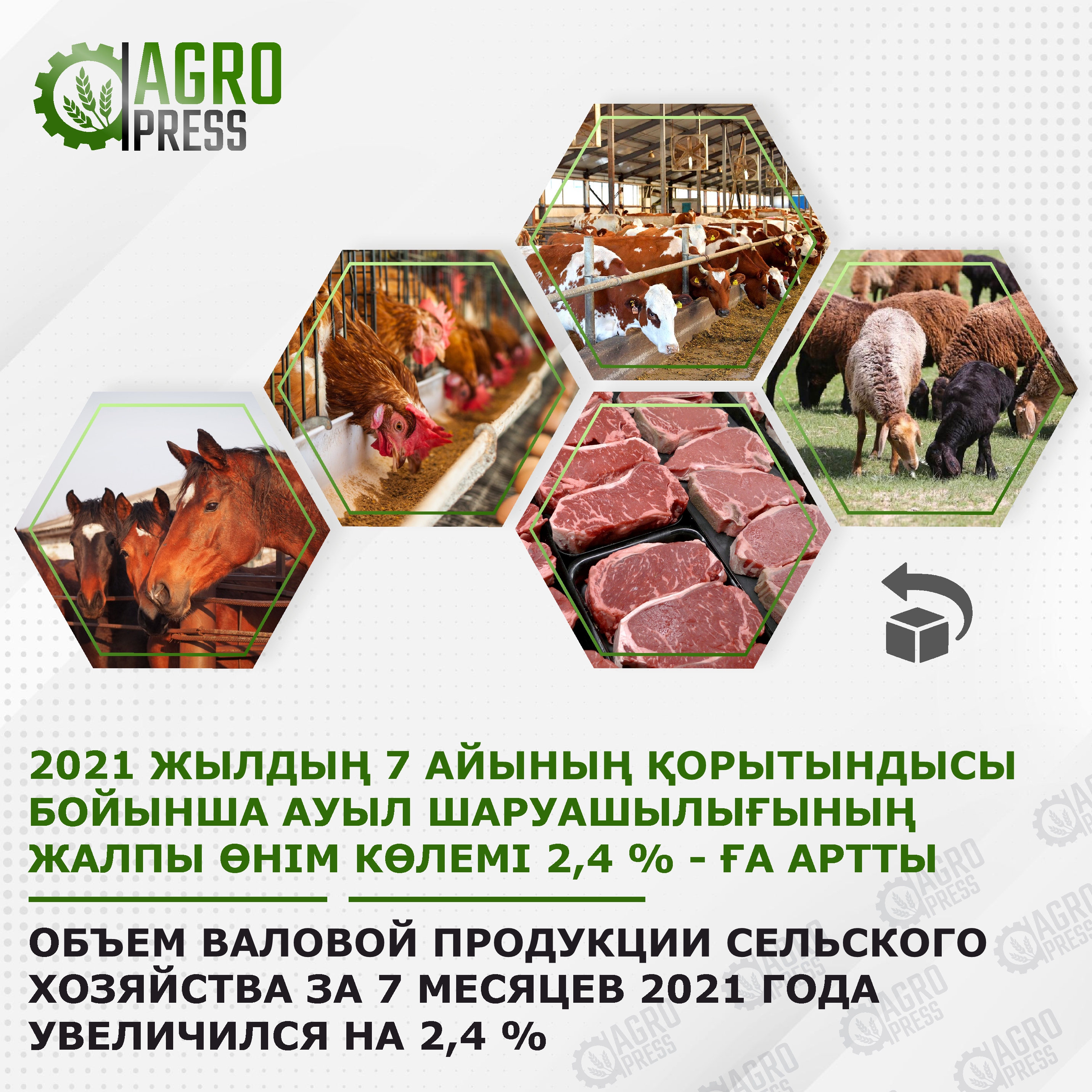 Объем валовой продукции сельского хозяйства за 7 месяцев 2021 года увеличился на 2,4 %