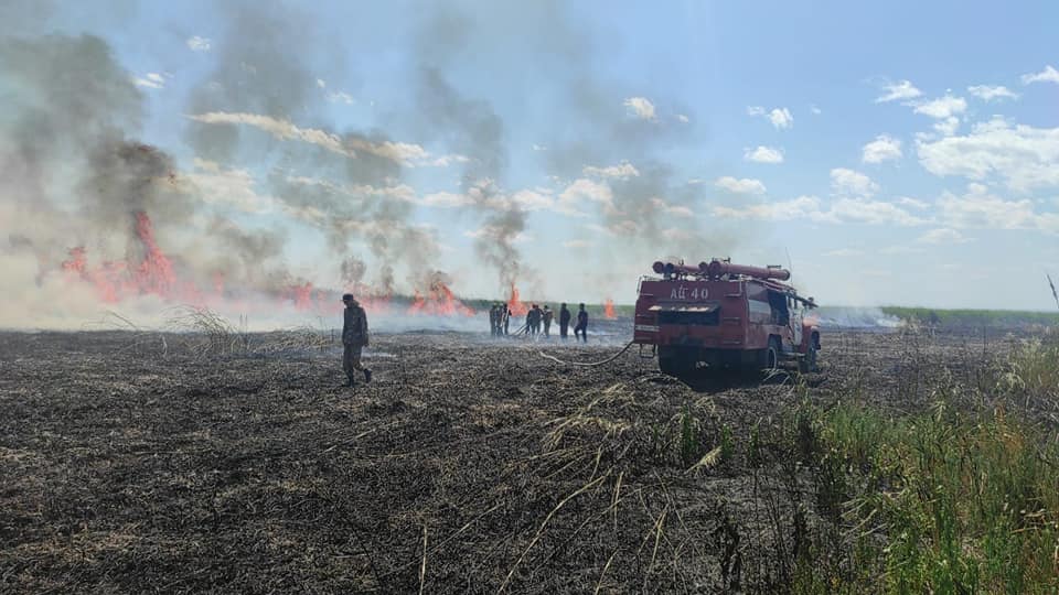 Алакөл қорығы аумағындағы 7250 га-ға жеткен өрт сөндірілді