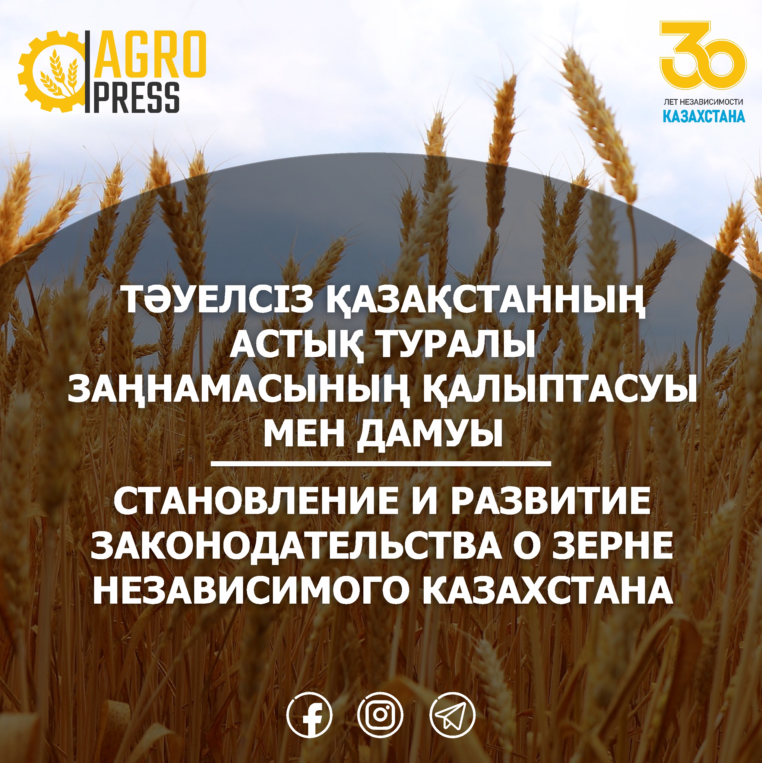 Становление и развитие законодательства о зерне Независимого Казахстана