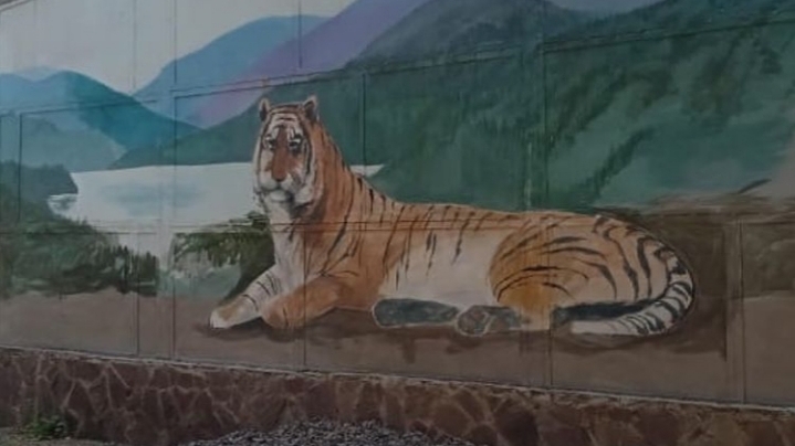 Трусикисіз сексуалды шағын көйлектердегі қыздар