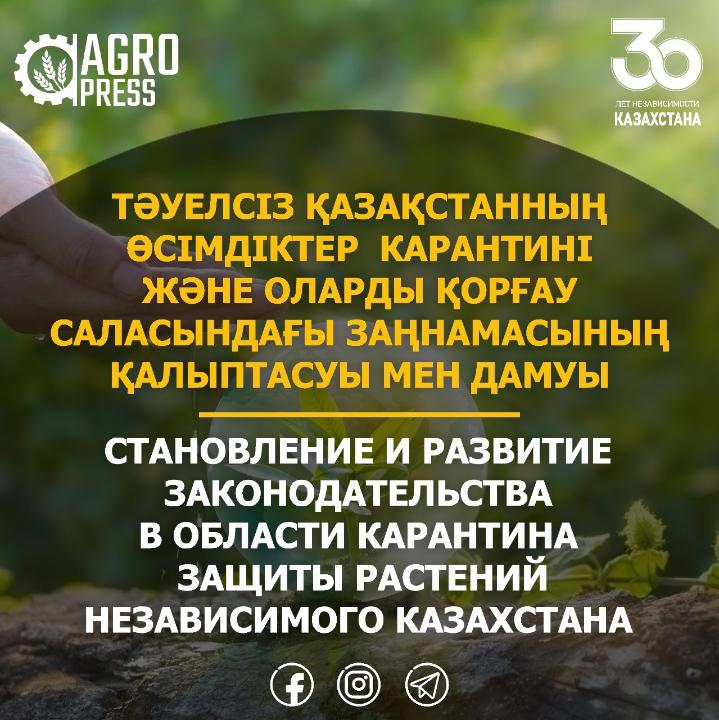 Porn Crush бойынша кончарка