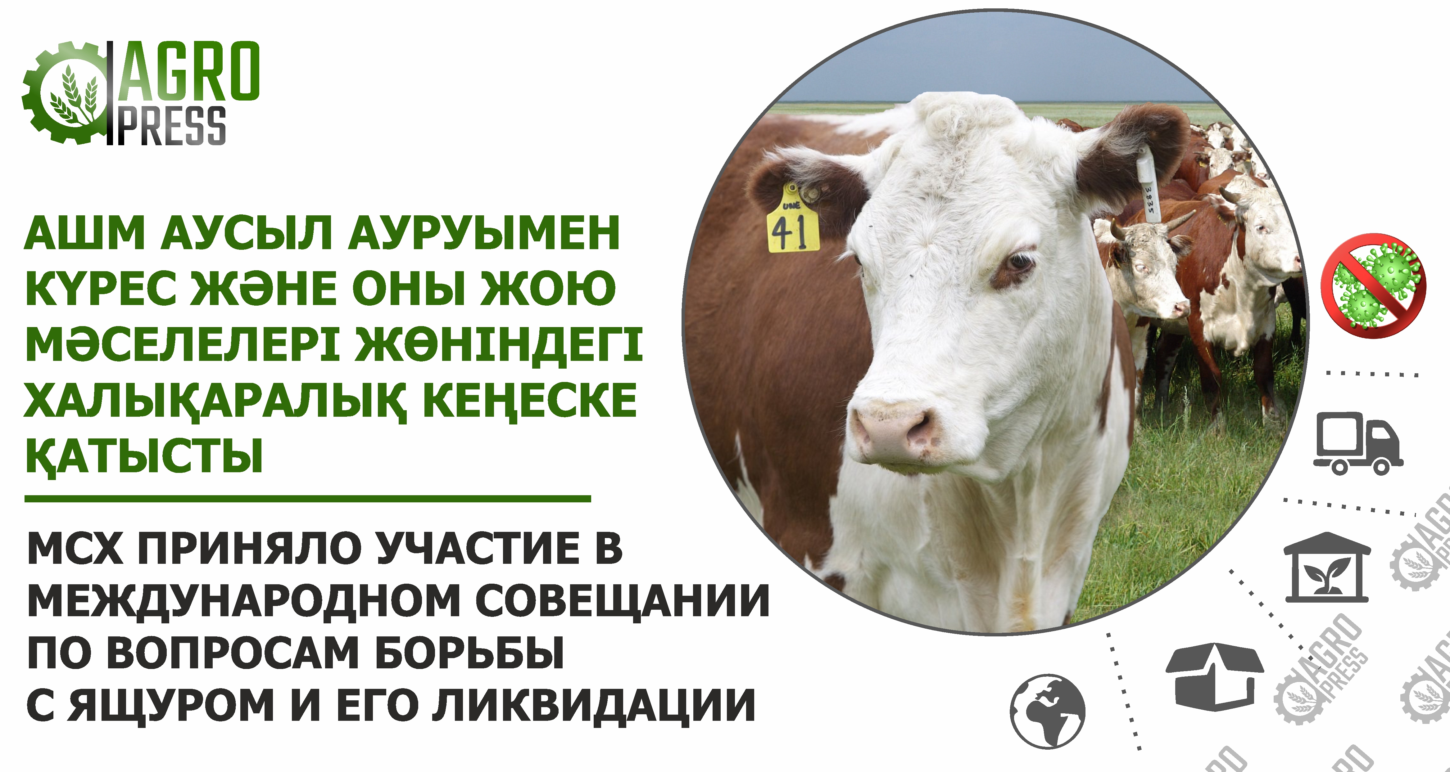 Жалаңаш киімі жоқ қыздар