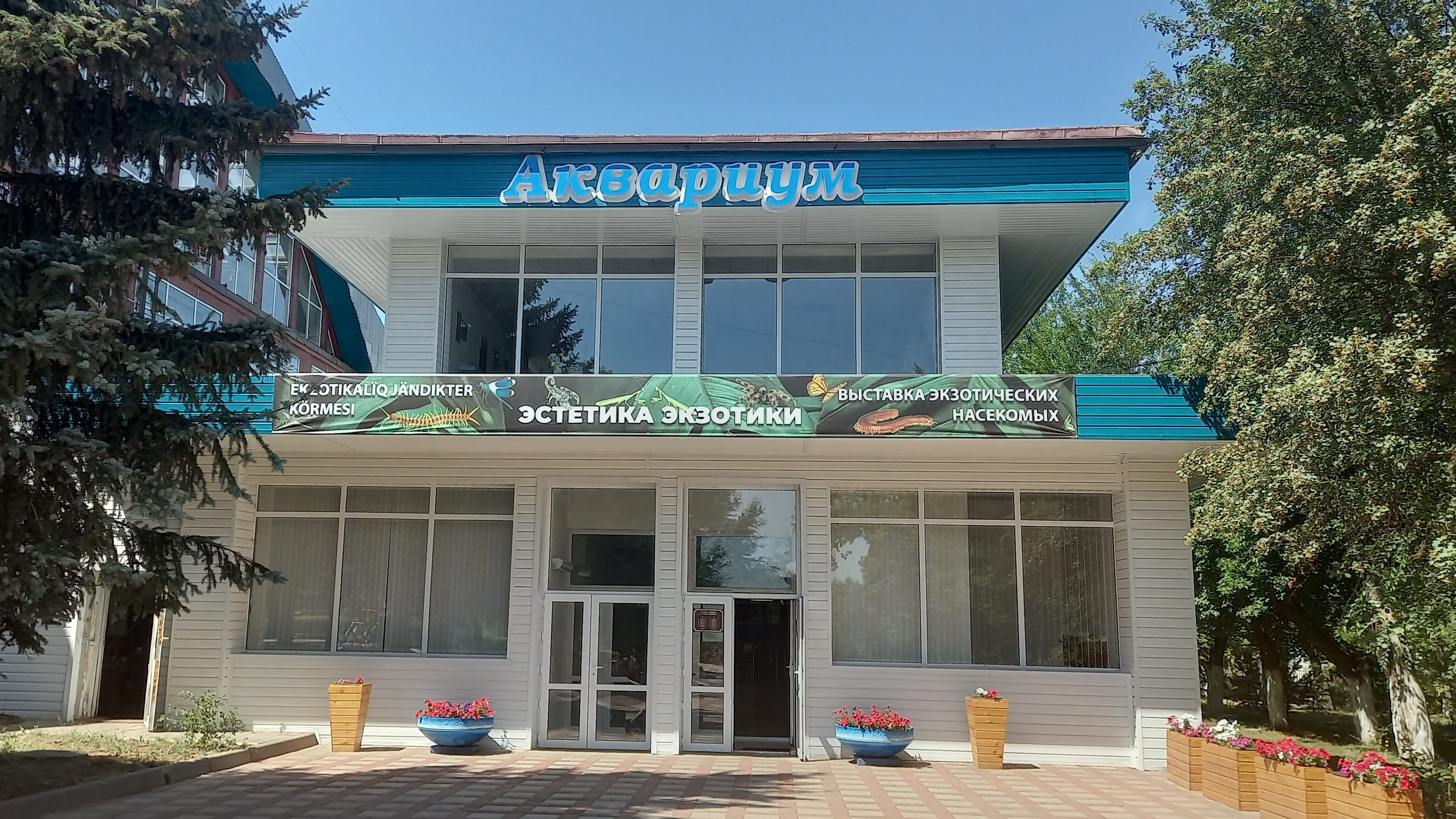 Индустрия насекомых: Основатели экзотического бизнеса в Темиртау строят большие планы