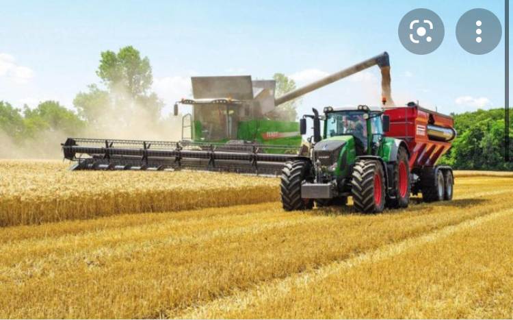 ВКонтактедегі жетілген әйелдермен секс және порно