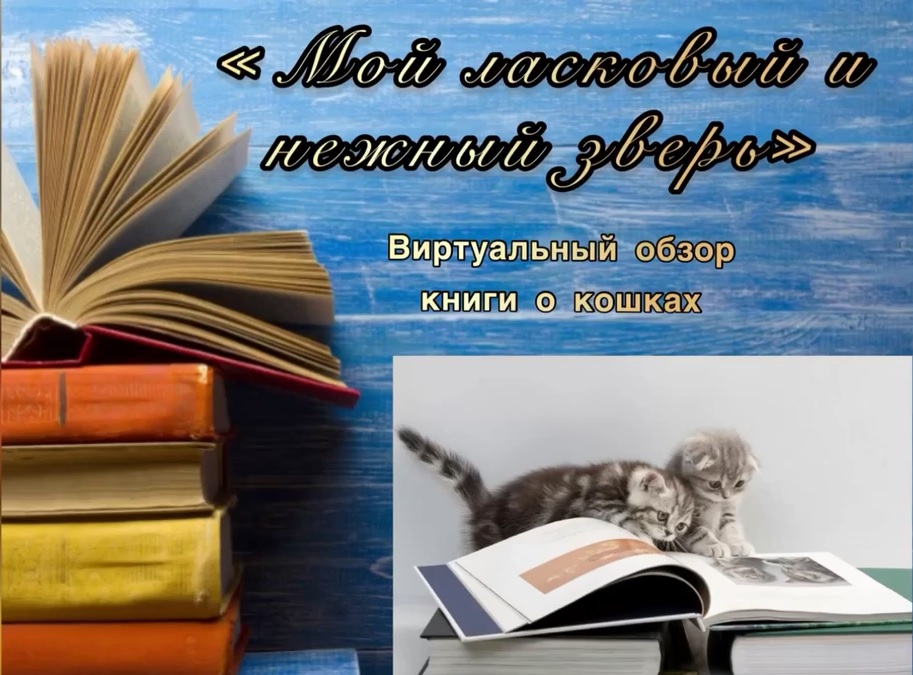 Мысықтың ноталары шулап жатыр. Мысықтың ноталары шулап жатыр.