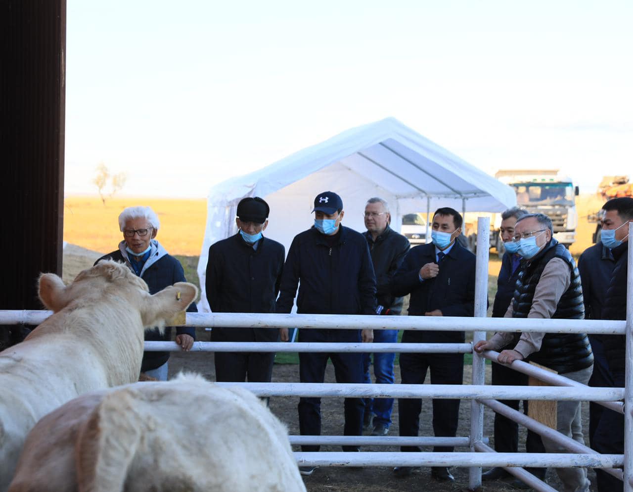 Меры государственной поддержки позволили Кобдинским фермерам увеличить поголовье скота