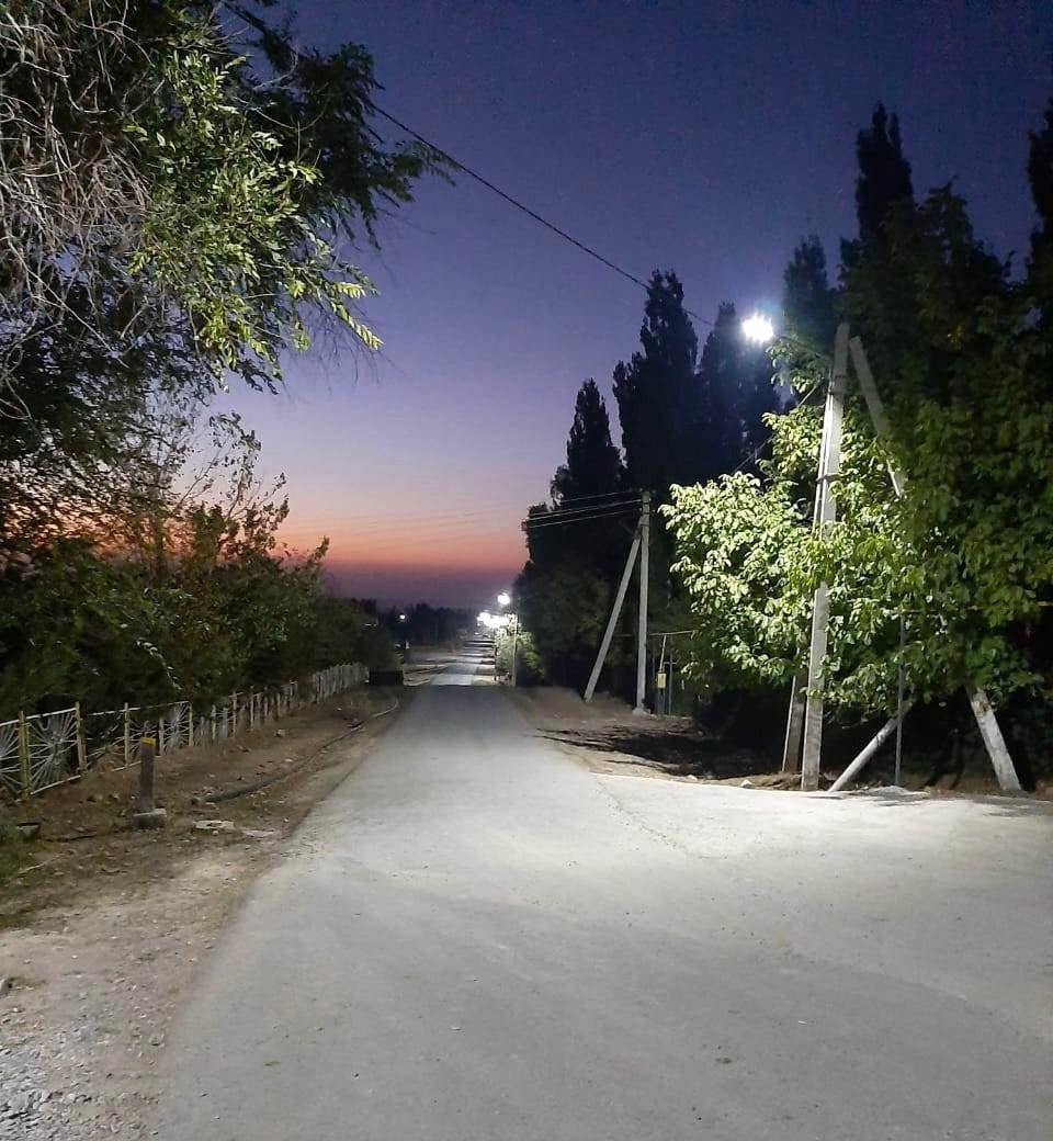 Үлкен мүшесі және семіз әйел