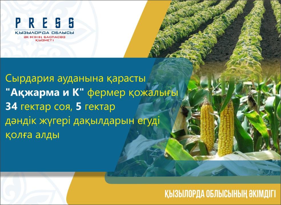 Қызылорда облысының ауыл шаруашылығы саласындағы жетістіктері