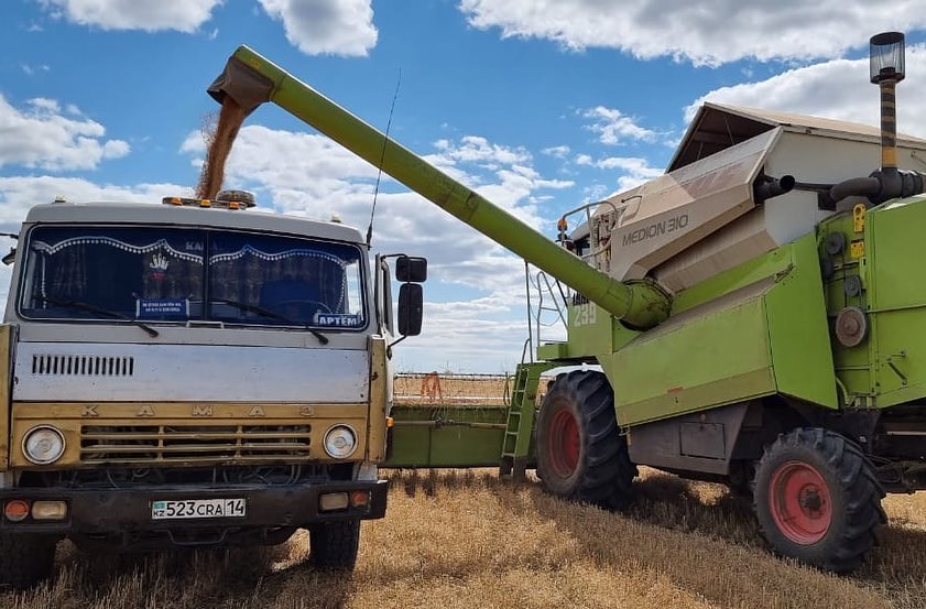 Үлкен жопы бар әжейді сорады