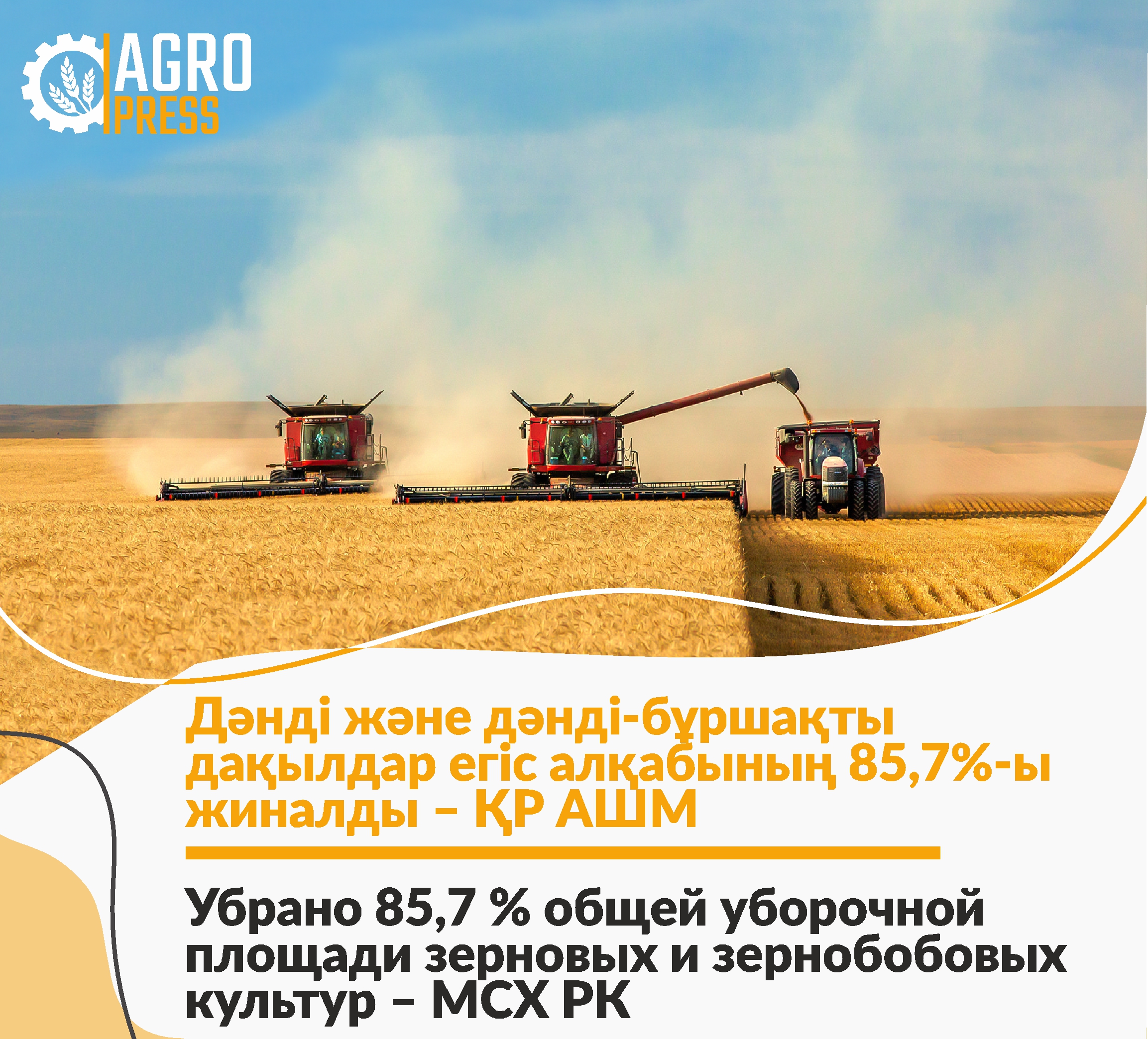 Убрано 85,7 % общей уборочной площади зерновых и зернобобовых культур – МСХ РК