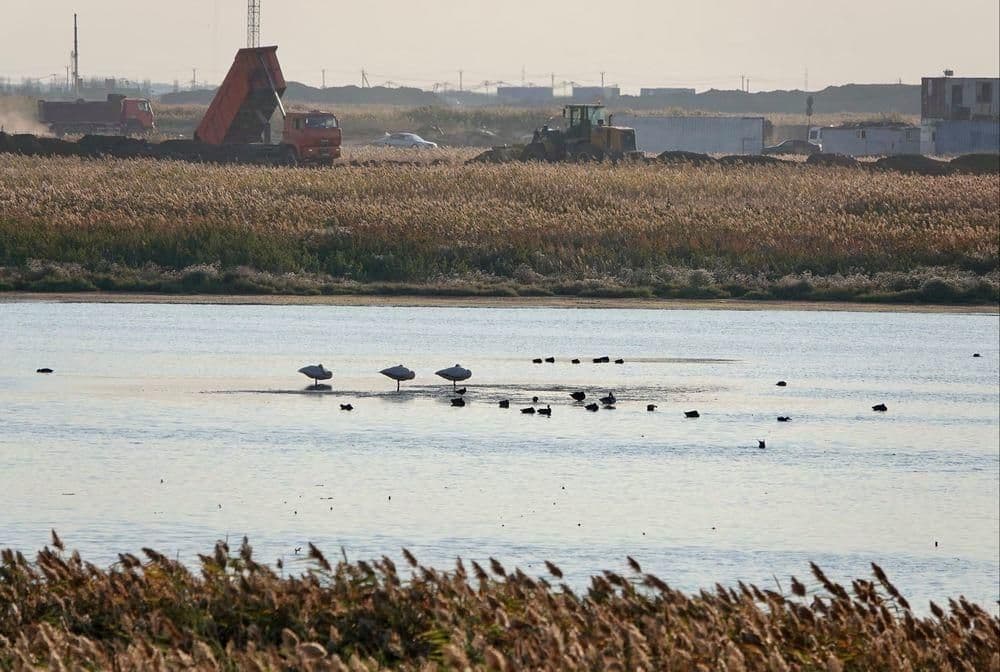 Кіші Талдыкөлге қатысты ақпарат