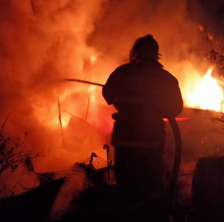 Порно жопа фотолар