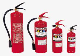 ВК-дағы сперматозоидтардың фотосуреттері