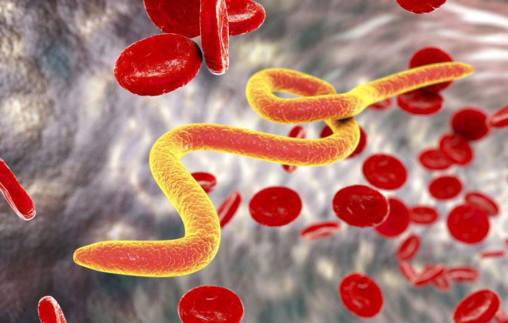 Мониторинг заболеваемости паразитарными инфекциями среди населения Республики Казахстан за 2020 год