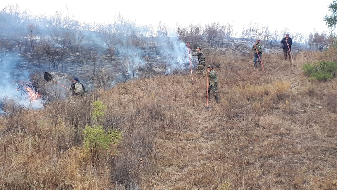 Информация о возгорании в Коринском ущелье Алматинской области