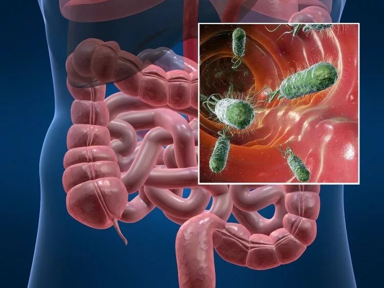 Киска жалап ағып жатыр