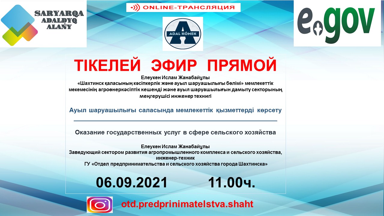 Прямой эфир "Об оказании государственных услуг"