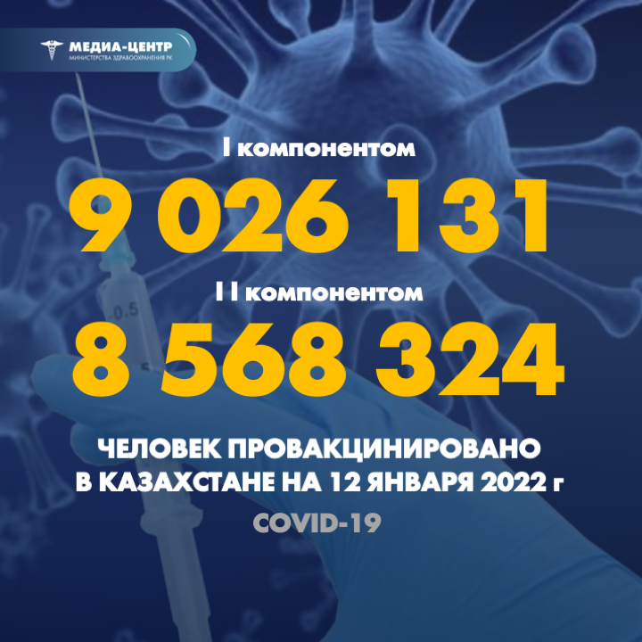 I компонентом 9 026 131 человек провакцинировано в Казахстане на 12 января 2022 г, II компонентом 8 568 324 человек.