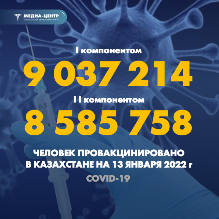 I компонентом 9 037 214 человек провакцинировано в Казахстане на 13 января 2022 г, II компонентом 8 585 758 человек.