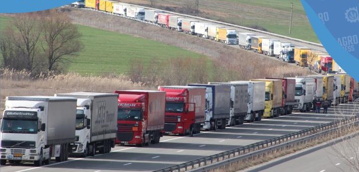 Территориальными подразделениями Комитета государственной инспекции в агропромышленном комплексе Министерства сельского хозяйства Республики Казахстан по Актюбинской, Костанайской, Северо-Казахстанской и Восточно-Казахстанской областям при осуществлении карантинного фитосанитарного контроля в период с 1 по 31 декабря текущего года выявлено 12 фактов нарушения требований законодательства в области карантина растений.