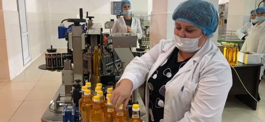 Ежемесячно по 120 тонн сафлорового масла местного производства будет продаваться в Кызылорде