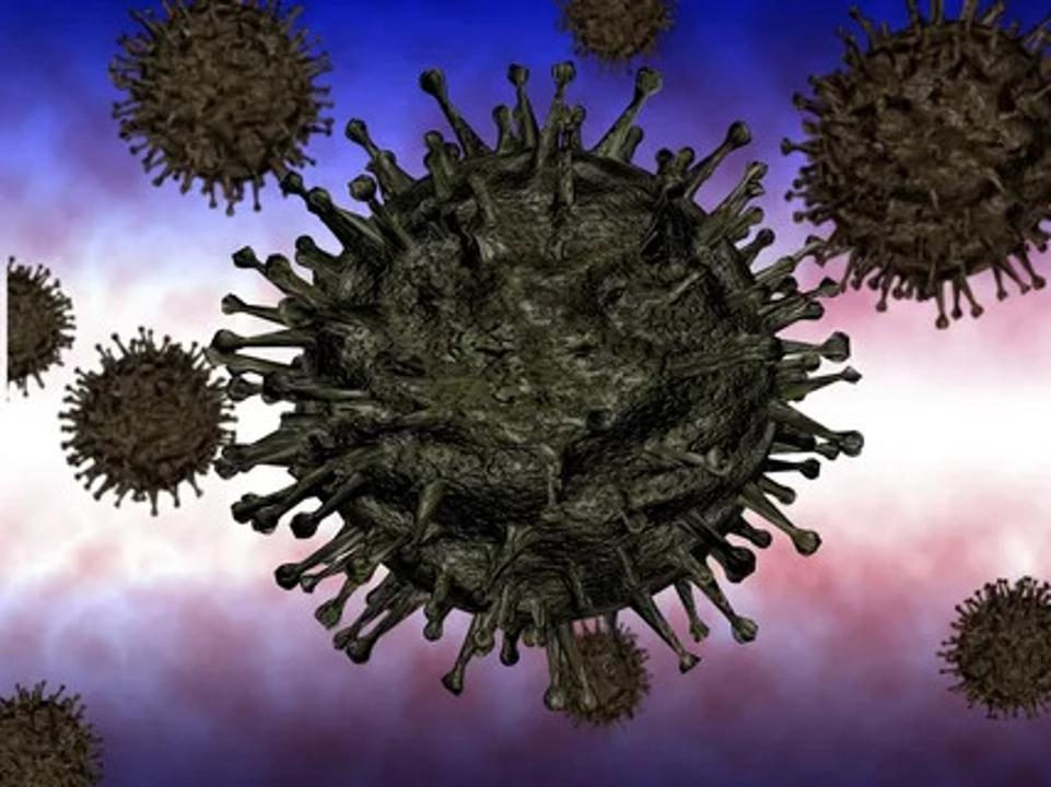 За прошедшие сутки зарегистрировано 343 случая заражения коронавирусом