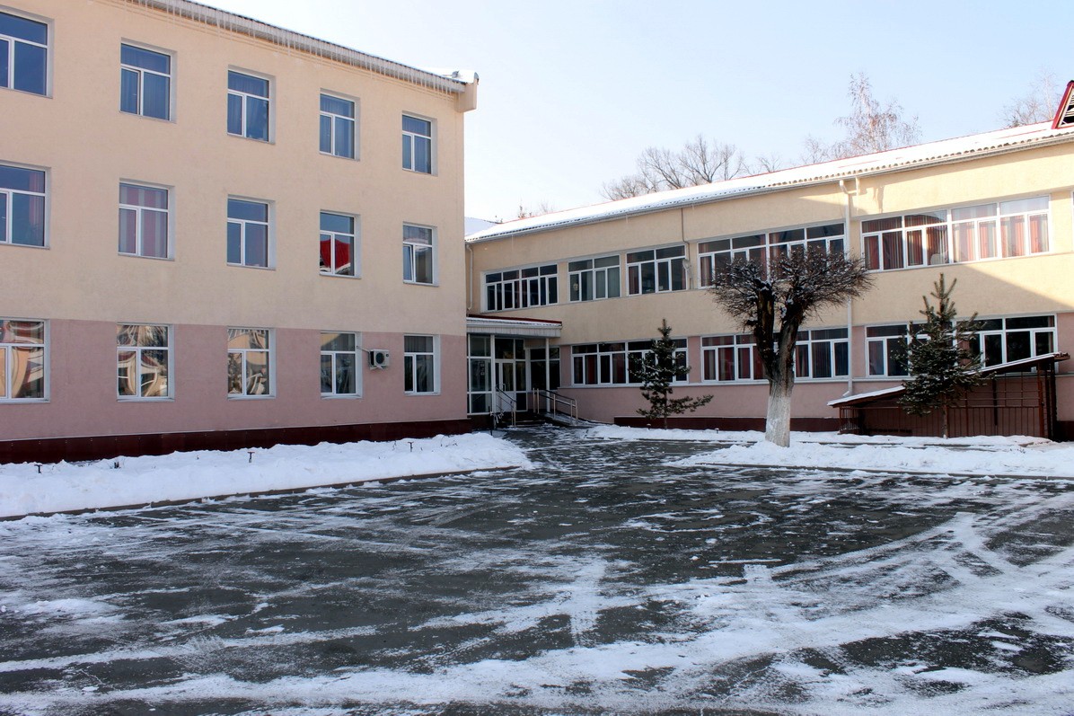 Алматинские школьники будут учиться онлайн