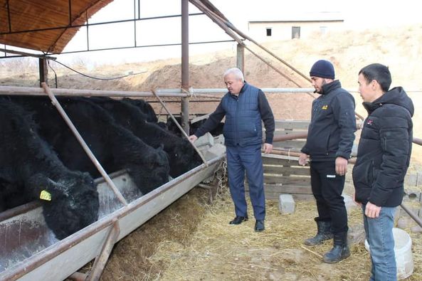 Неліктен пенис қатты болады? (Бейне)