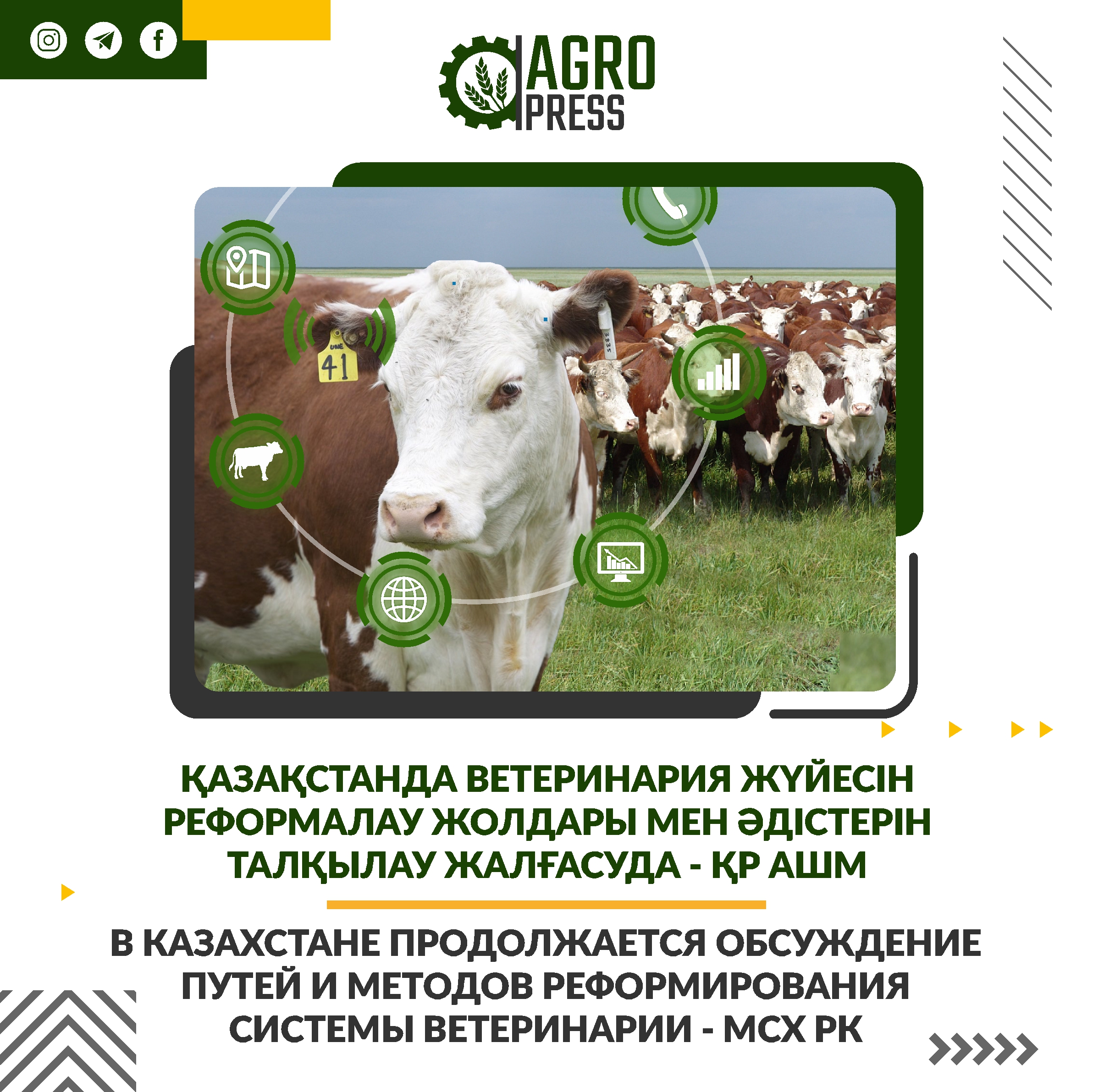 В Казахстане продолжается обсуждение путей и методов реформирования системы ветеринарии - МСХ РК