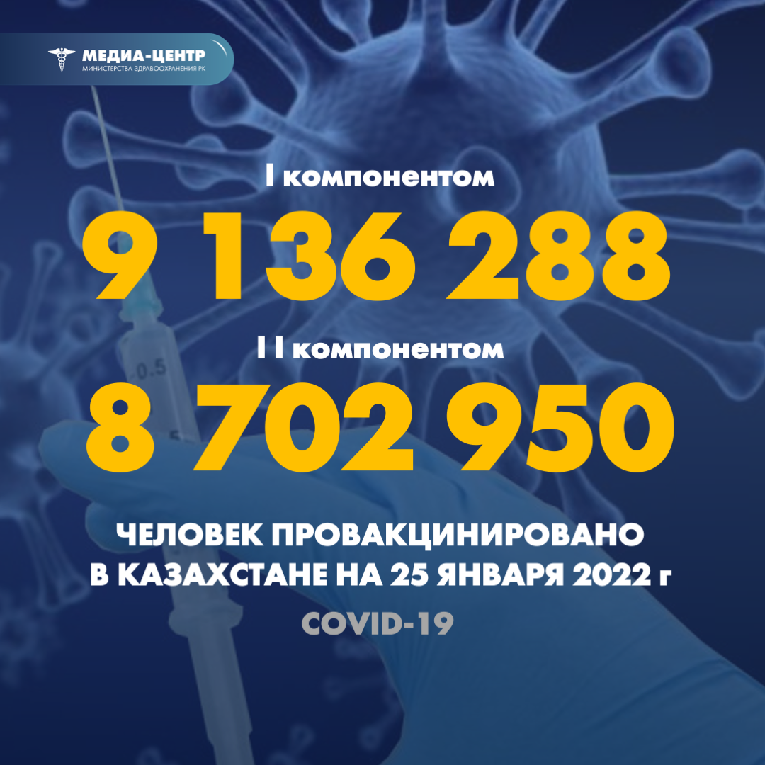 I компонентом 9 136 288 человек провакцинировано в Казахстане на 25 января 2022 г, II компонентом 8 702 950 человек.