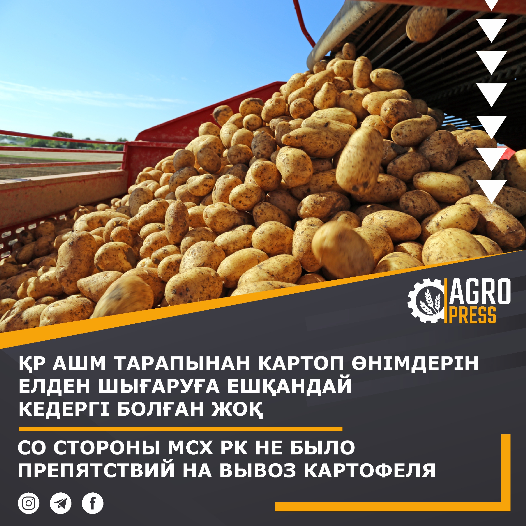 Со стороны МСХ РК не было препятствий на вывоз картофеля