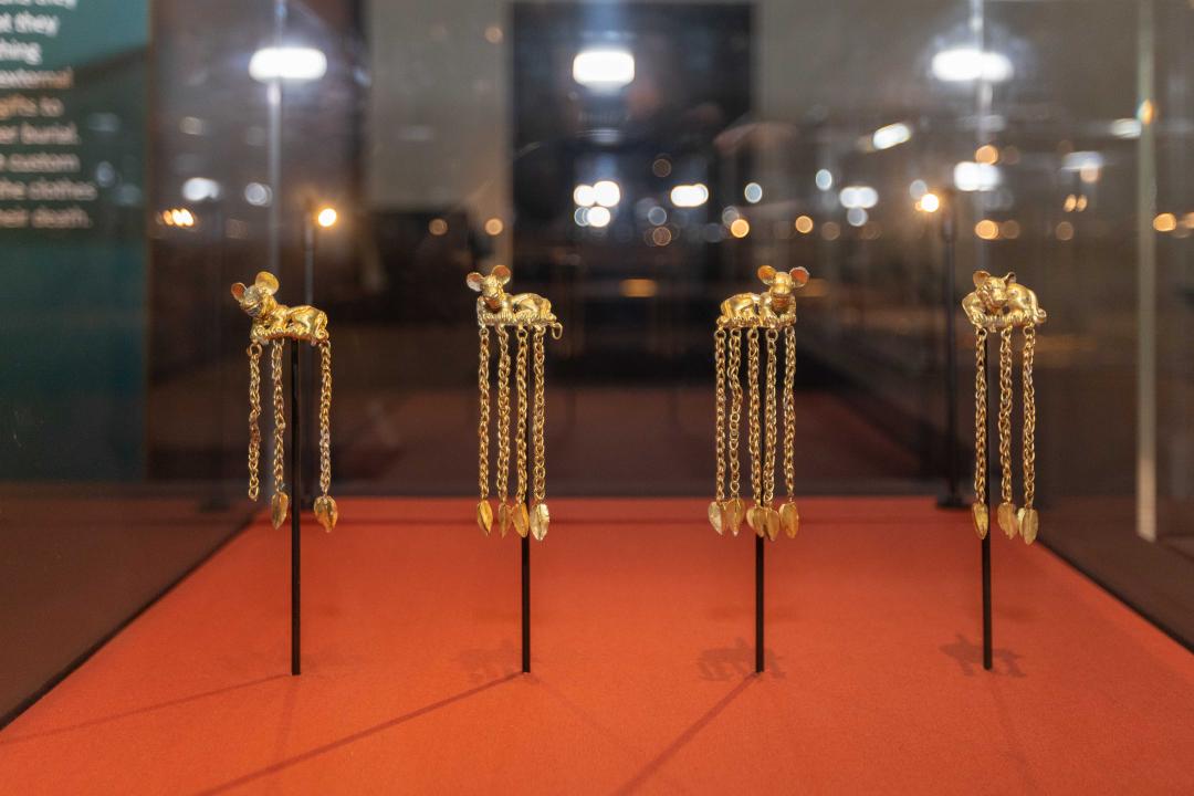 В Кембридже завершилась выставка сакского золота из Восточного Казахстана