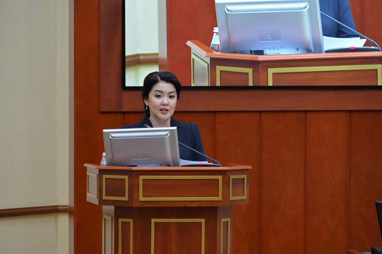 МӘЖІЛІСТЕ ӨТКЕН ҮКІМЕТ САҒАТЫНДА АУЫЛ МЕДИЦИНАСЫНЫҢ ДАМУЫ ТАЛҚЫЛАНДЫ