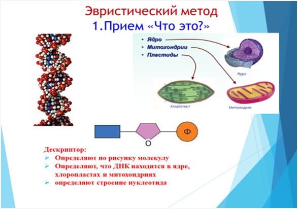 «Жалғыз ханым» орыс порносын онлайн көру