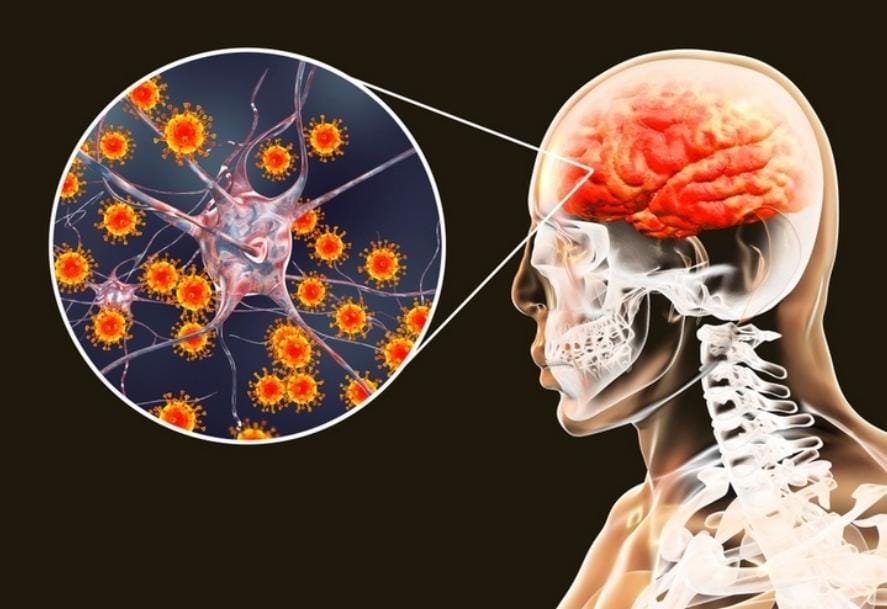 Тар киім фотосуреттеріндегі үлкен кеуделер Вируссыз ергежейлі порно