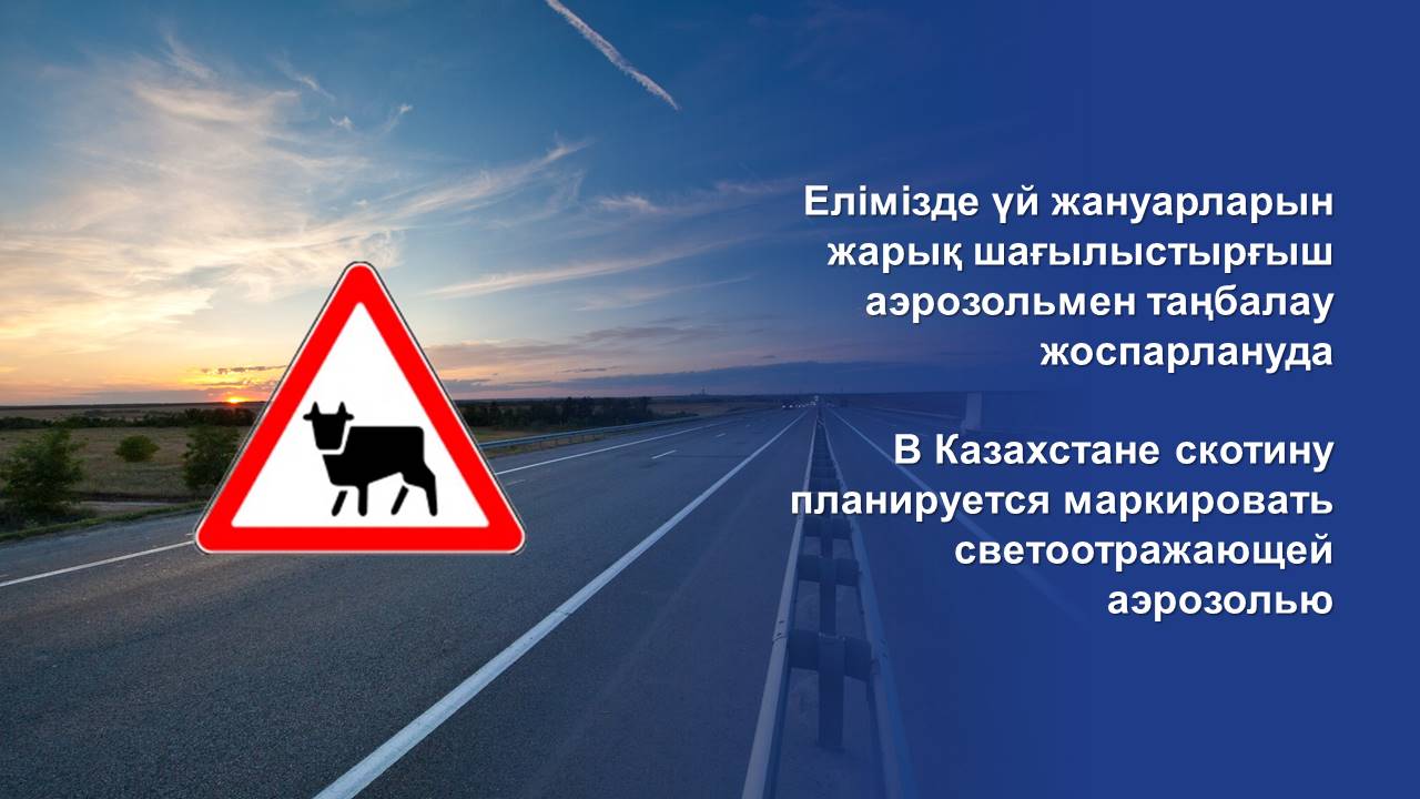 В Казахстане скотину планируется маркировать светоотражающей аэрозолью